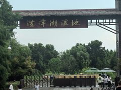 -泗洪洪泽湖湿地景区