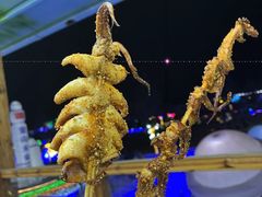 -北京鹿世界主题园