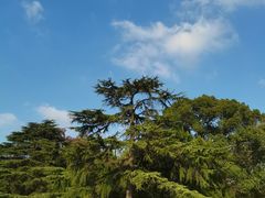 -上海市龙华烈士陵园