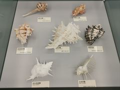 -天津古林古海岸遗迹博物馆