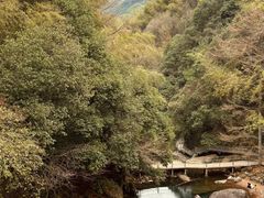 -四明山国家森林公园