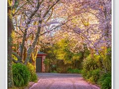 -小玉米(锡林南路店)