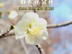 -杭州植物园