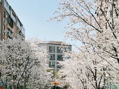 -81BAKERY(大学路店)