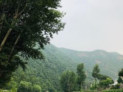 -白河湾生态旅游一条川
