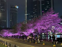 -西北湖绿化广场