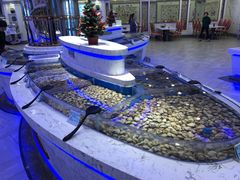 -澜悦港海鲜体验主题餐厅
