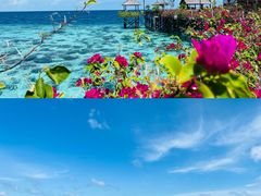 -卡帕莱度假村(西巴丹岛)