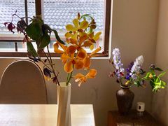 -竹子咖啡bamboo coffee