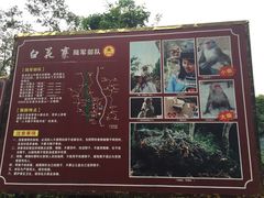 iphone_upload_pic-广西龙虎山风景区