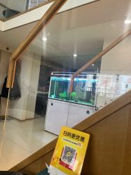 -珍贞佰俪·针清祛痘印敏感管理