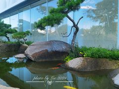 -罗红摄影艺术馆