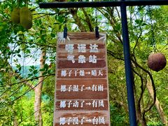 -呀诺达热带雨林