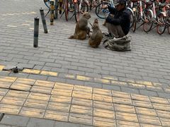 -体育场(地铁站)