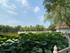 -丰台花园