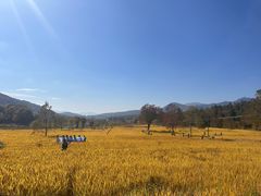 -塔川景区
