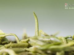 -张一元(世纪金源购物中心东区店)