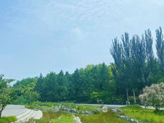 -大望京公园