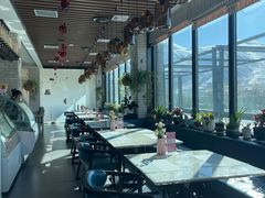 -玫瑰西餐厅.意面披萨.牛排咖啡