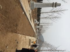 明鲁荒王陵-明鲁王陵