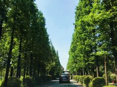 -星巴克臻选(扬州瘦西湖文化广场店)
