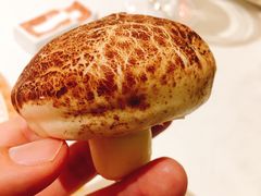-成都泰合国际大饭店(春熙路太古里店)