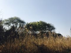 -同里国家湿地公园