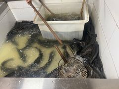 -都江堰石锅鱼
