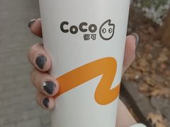 -CoCo都可(蓝村店)