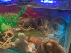 -V-ONE西雅图海鲜自助餐厅(仓山万达广场店)