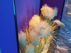 -青春足迹·概念店·小憩足疗SPA