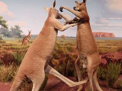 -陕西自然博物馆