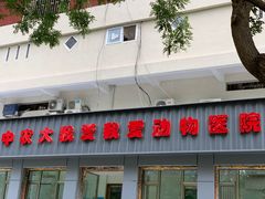 -中农大我爱我爱动物医院(甜水园店)
