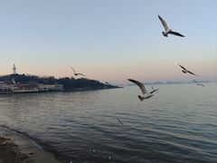 -烟台山景区