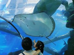-合肥海洋世界