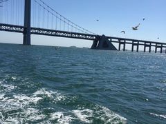 -星海湾跨海大桥