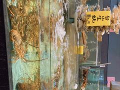 -九號渔港·蒸汽海鲜·粤菜茶点(八卦岭店)