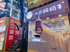 -一只酸奶牛(八一路店)