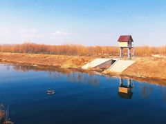 -东郊湿地公园