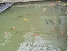 -大连北马山庄