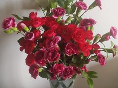 -盒马鲜生(馥邦国际店)