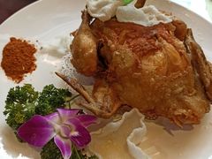 -张刚餐饮(春晓馨苑店)