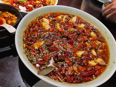 -陈麻婆豆腐总店