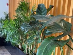 -墨客悦庭酒店(长沙麓谷涉外经济学院店)