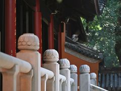 -灵谷景区