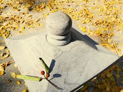 -西湖风景区十里琅珰-五云山