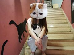 -猫爷宠物生活馆·撸猫馆