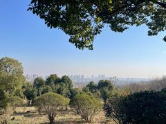 -南京市江宁方山