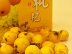 -塘栖枇杷特色园区