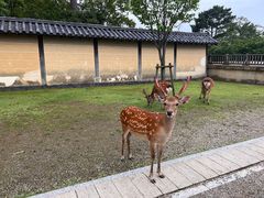 -天龙寺